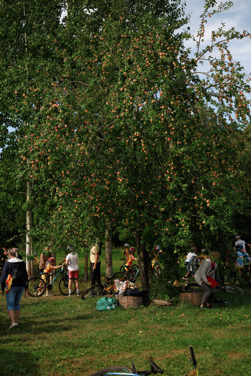 /РЕПОРТАЖ/ Велогонка «ТИПА-ЦИКЛОКРОСС-3» 2023. Свадебный фотограф Великий Новгород Станислав Кособудский