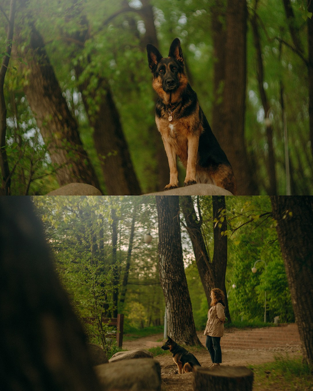 Людмила и Марта. Фотограф анималист в Москве и Санкт-Петербурге Свиридова Анна