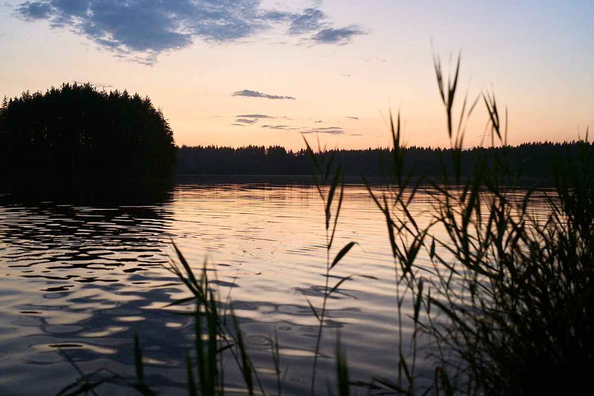 No Way Fest 2.0. Иван Кобяков