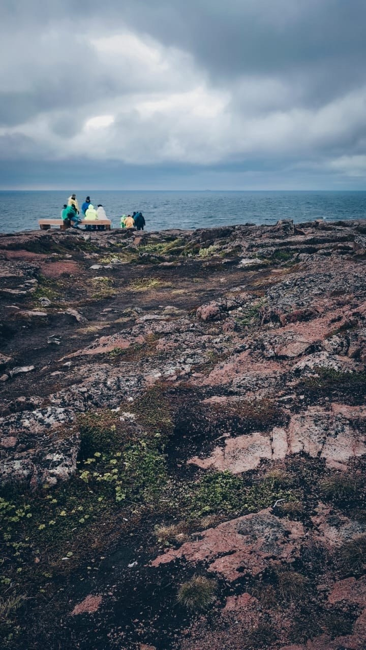 Мурманск | 20-22.06.2025. Галерея Фантим