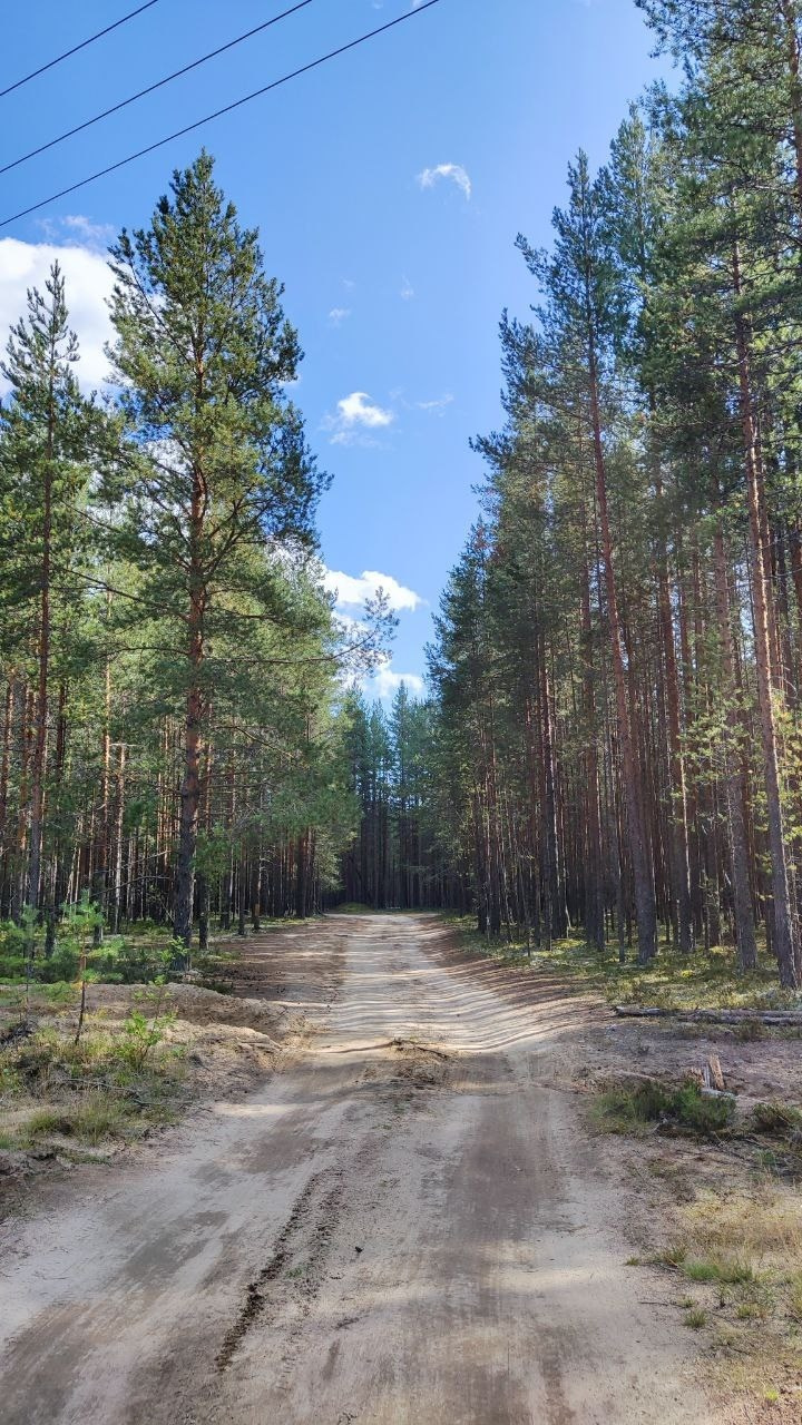 Карелия | 16-18.08.24. Галерея Фантим