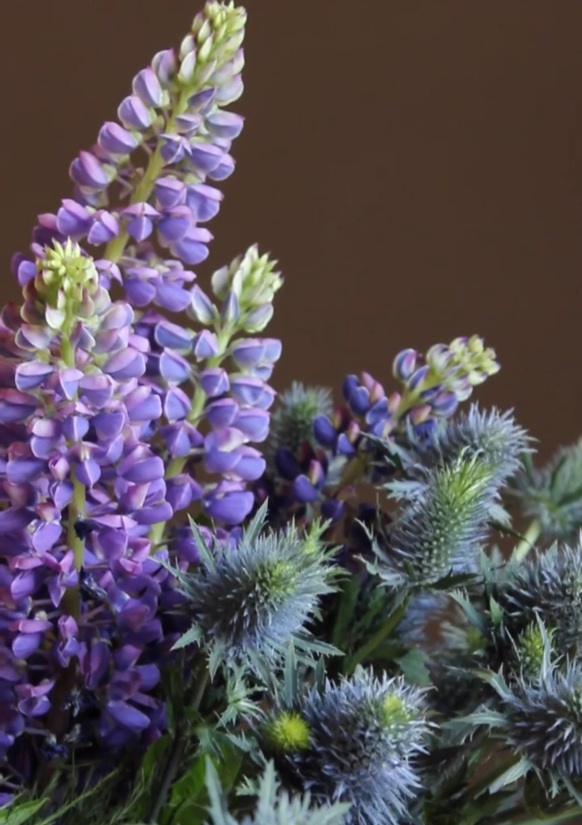 Мастер-классы. ЛЮБИМЫЕ ЦВЕТЫ