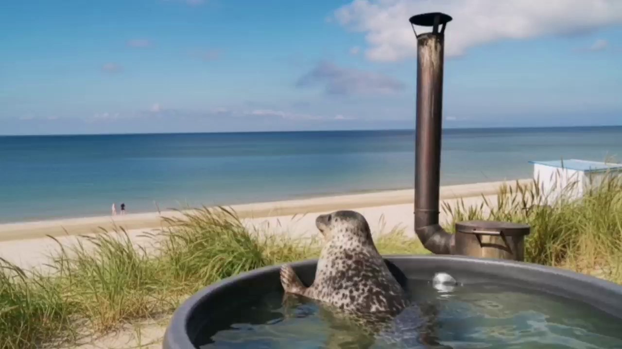 Портфолио ИИ. AI-контент (генерации ИИ-фото и видео), стоковые фотографии Калининградской области