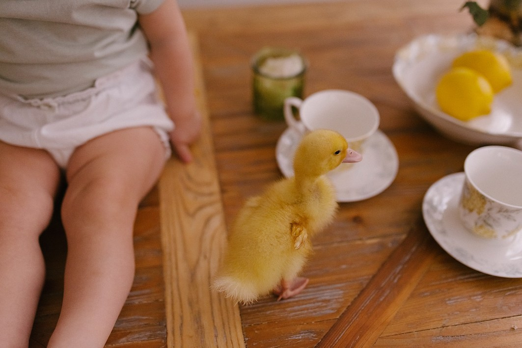 Фотосессии с утятами. Семейный фотограф в Москве Екатерина Денисенко | Фотосессии без постановки дома и в студии