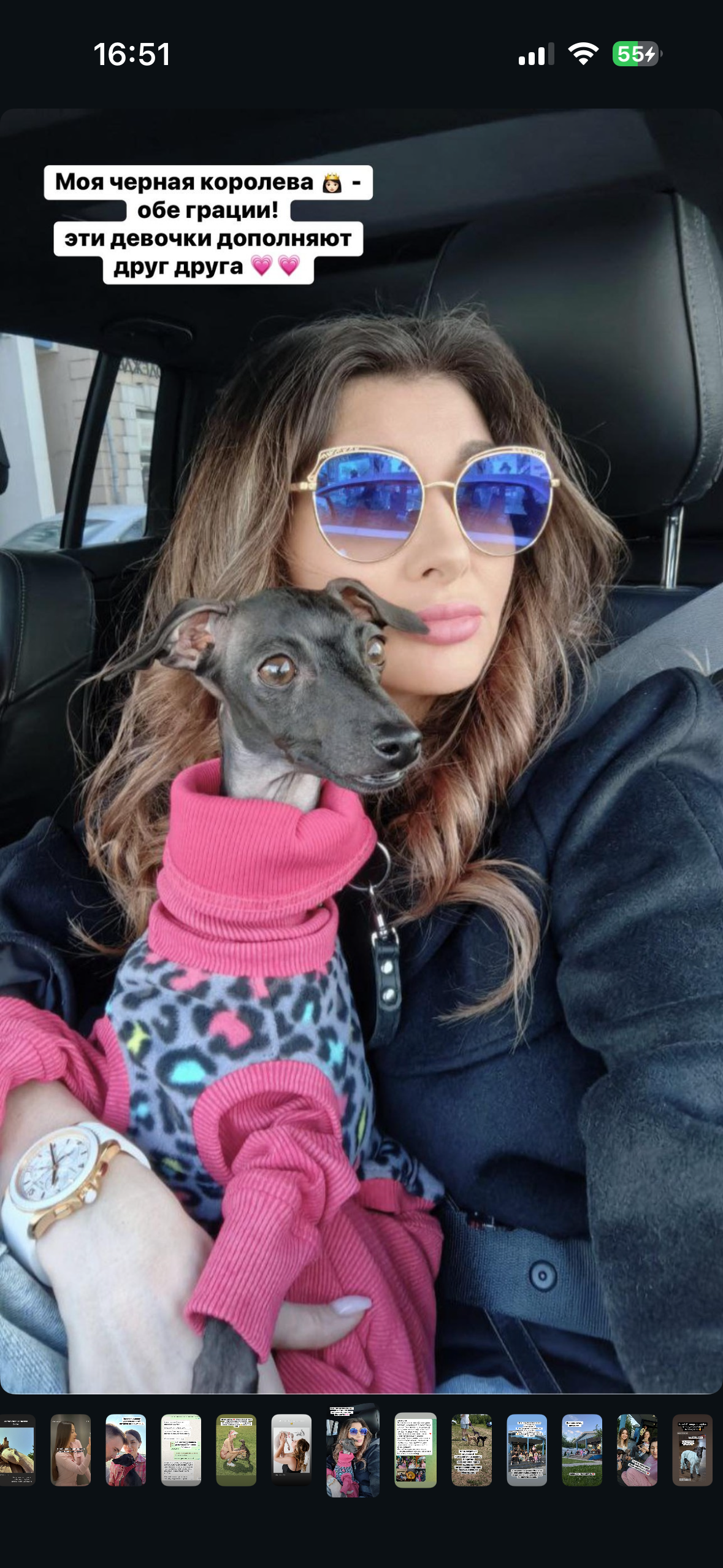 Отзывы от наших любимых владельцев. Профессиональный питомник левреток РКФ/FCI ASTI SAPPHIRE 💎 Сочи|Санкт-Петербург