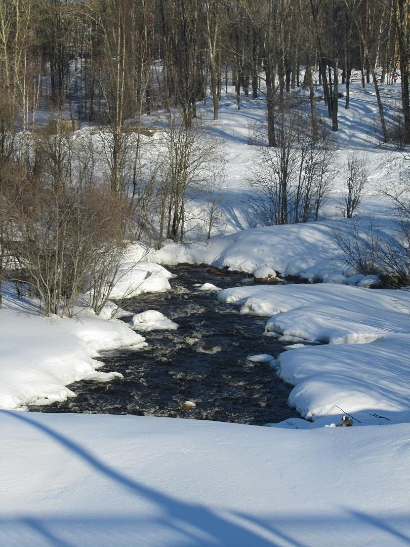 Петрозаводск. Блог Бурёшкина