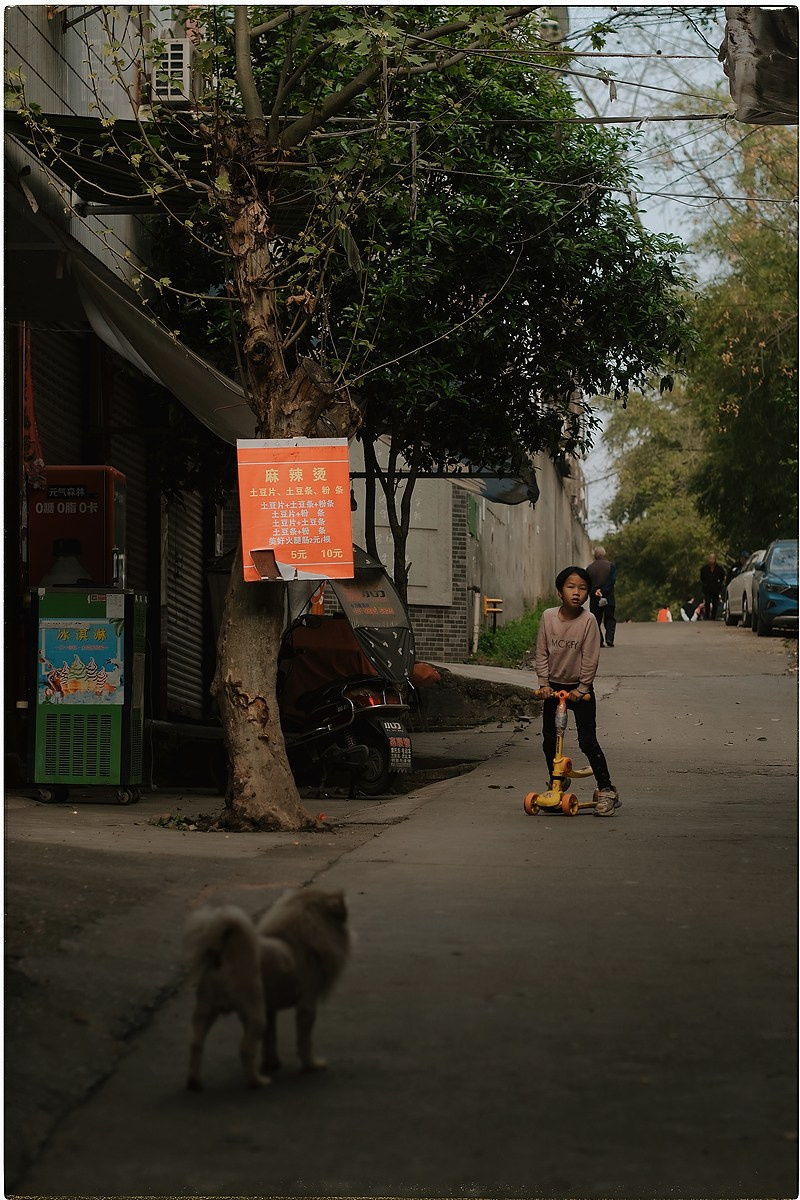 Китай. Портретный и репортажный фотограф в Санкт-Петербурге Дарья Сибирякова