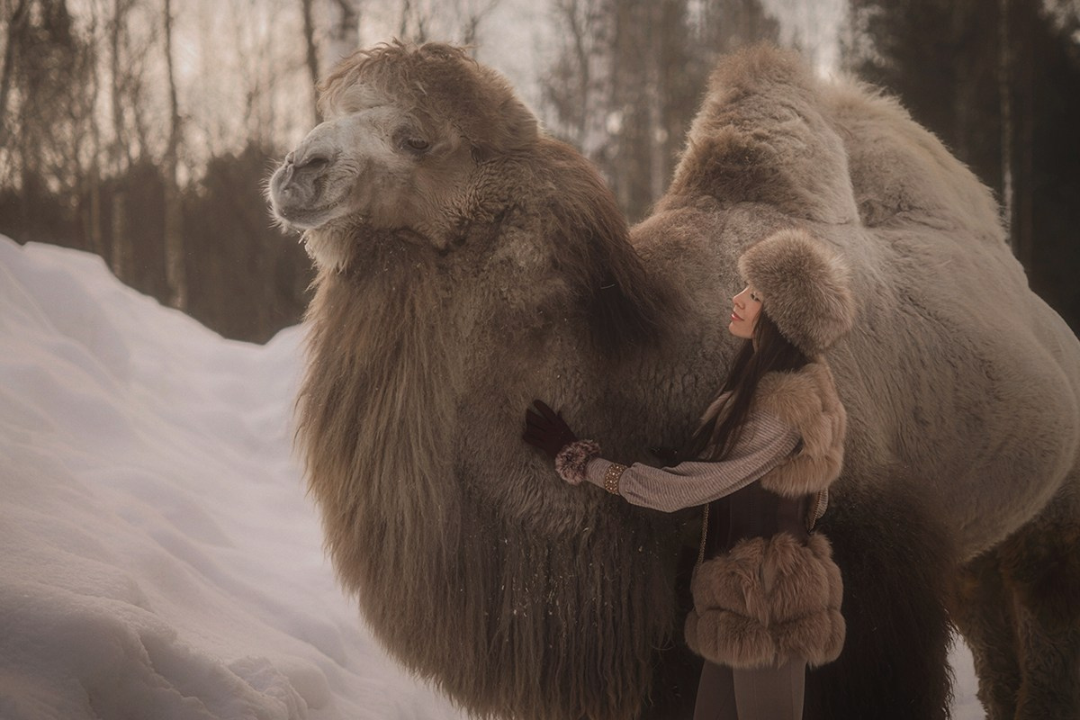 Индивидуальная съемка. Фотограф Галина Ворошилова. Создатель историй