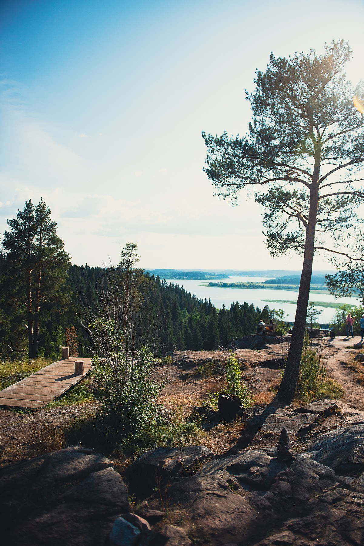 Карелия. Фотограф-анималист Наталья Светличная