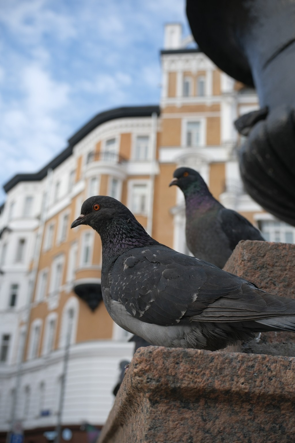 Улица, люди, жизнь…