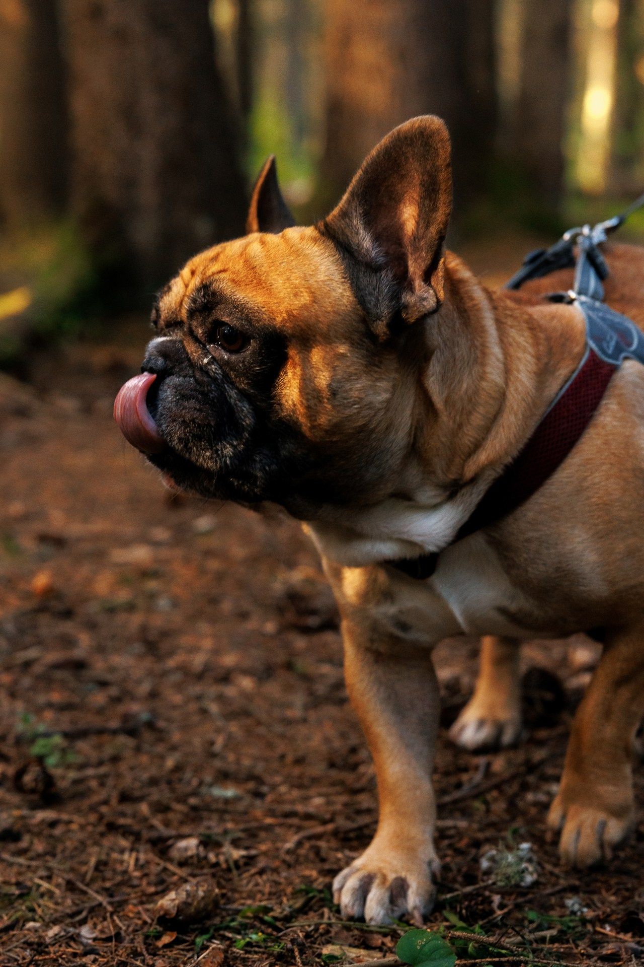 Forest Hill. Night2Day Санкт-Петербург