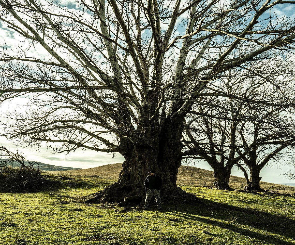 Основная информация