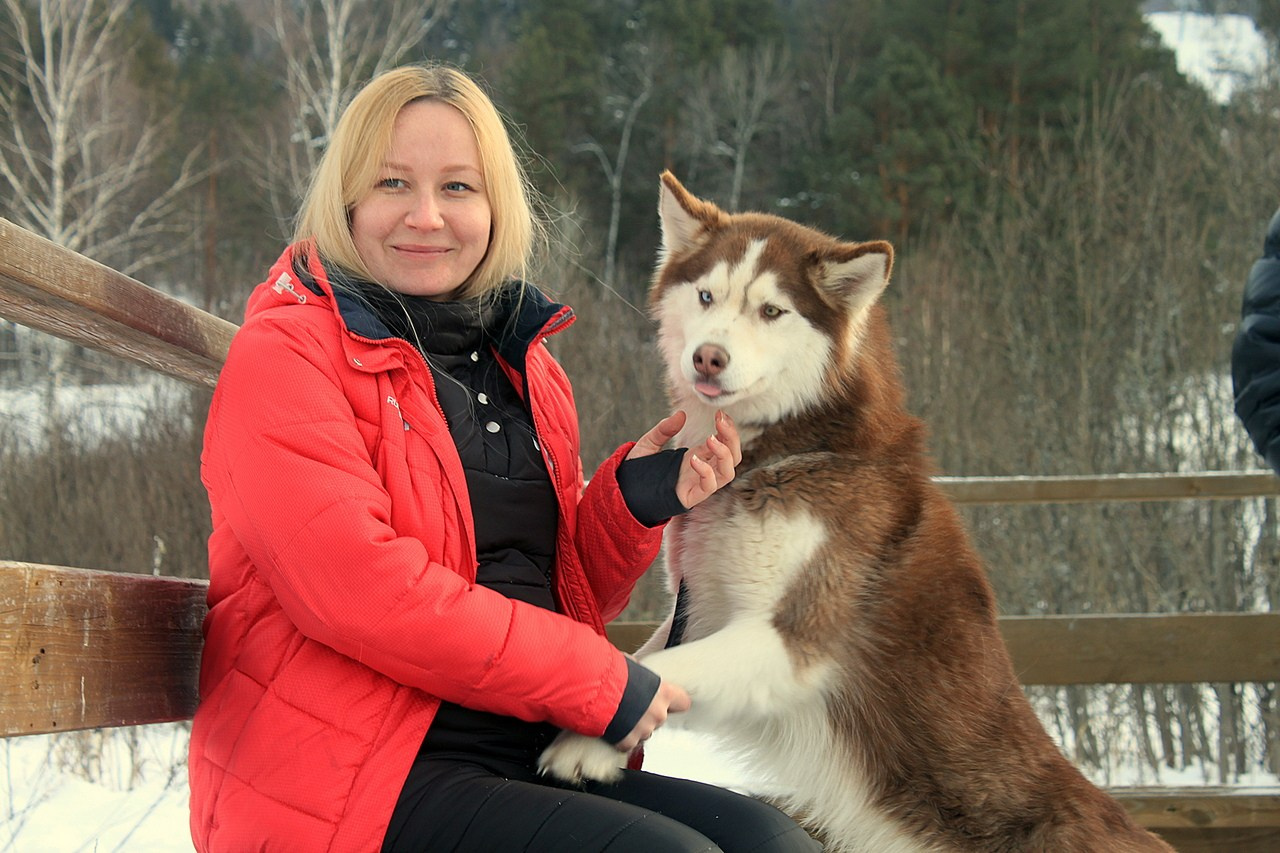 Манжерок. Гонки на собачьей упряжке