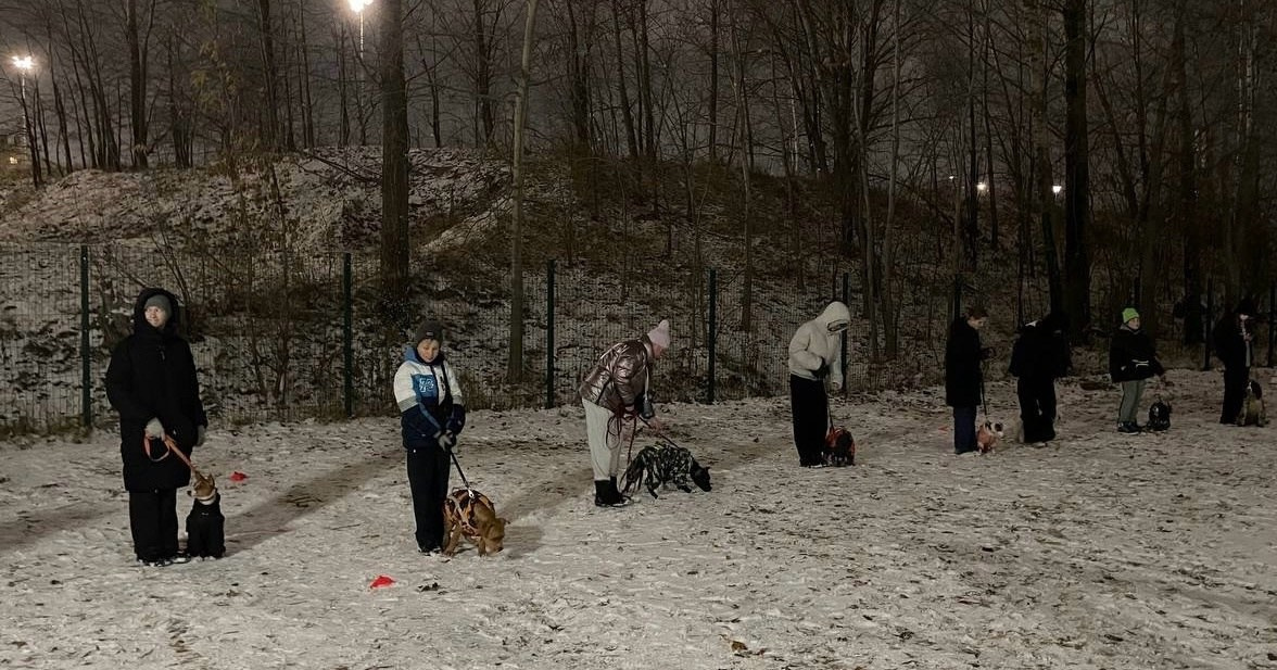 Практические занятия по дрессировке. НРОО КЦ "Собаковод"