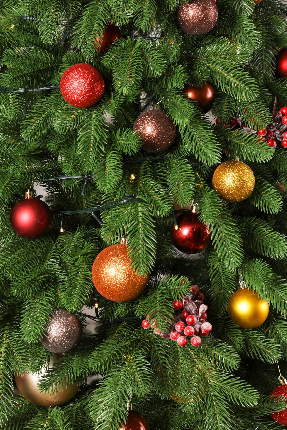 Елка. Фотограф Алексей Зозин в Москве