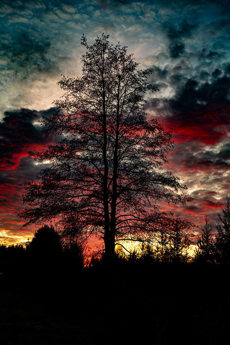 Пейзаж. Главная