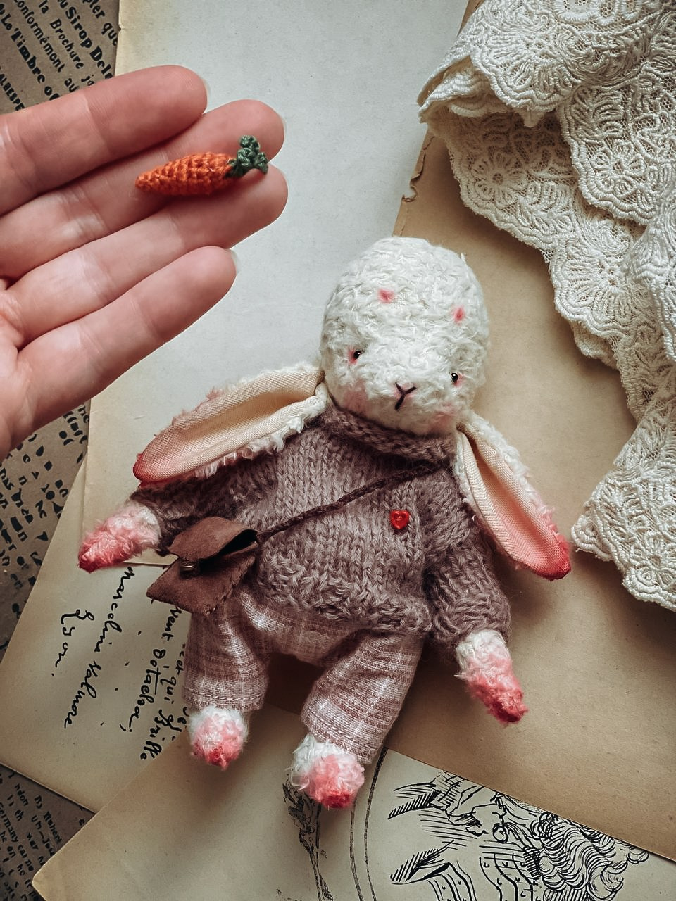 Тедди. Фотограф Ольга Сальманович