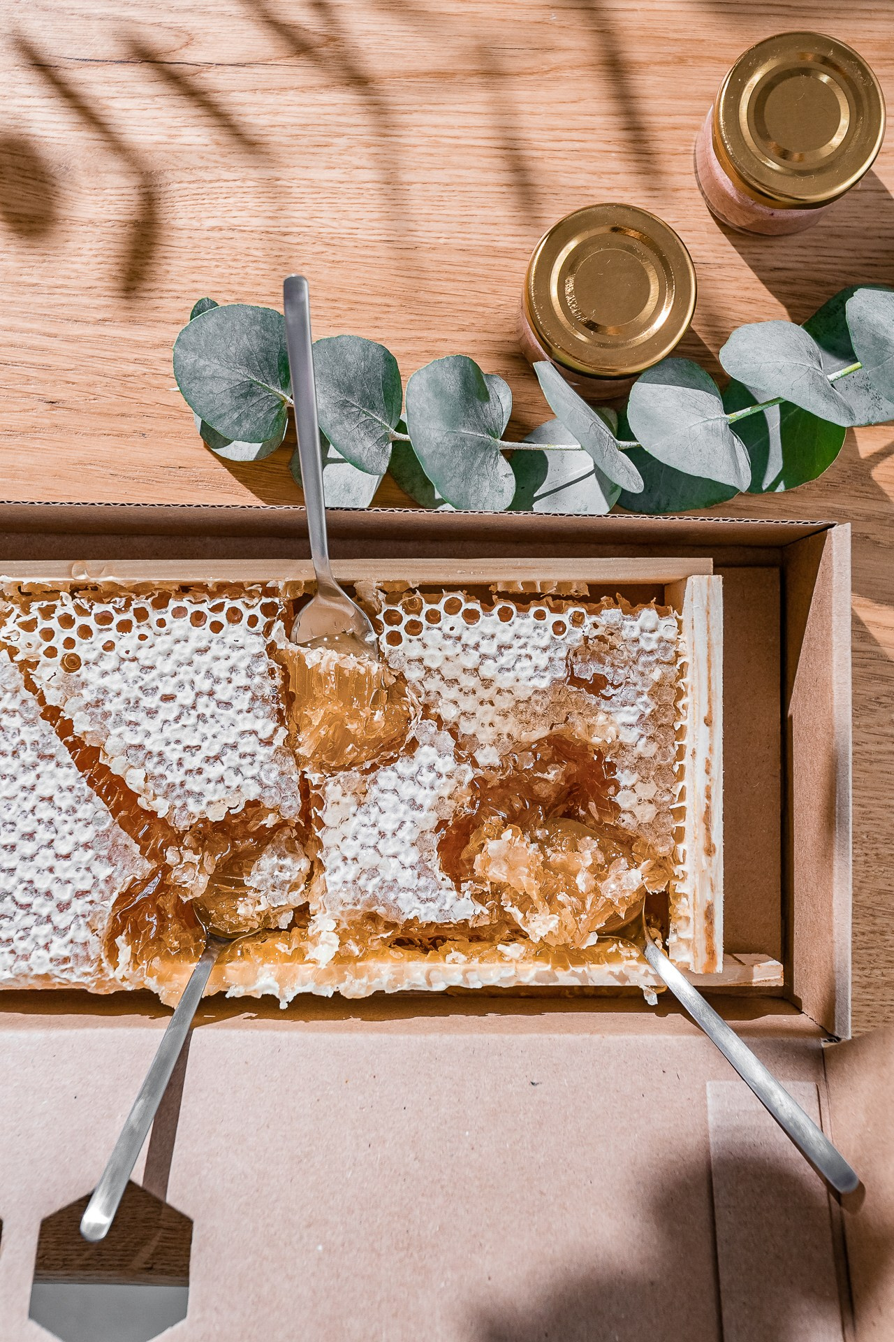 Пасека «Лубенино». Фотограф Александра Иванова