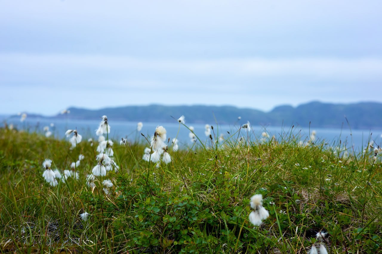 Териберка 2025. Фотограф Михаил Олейник