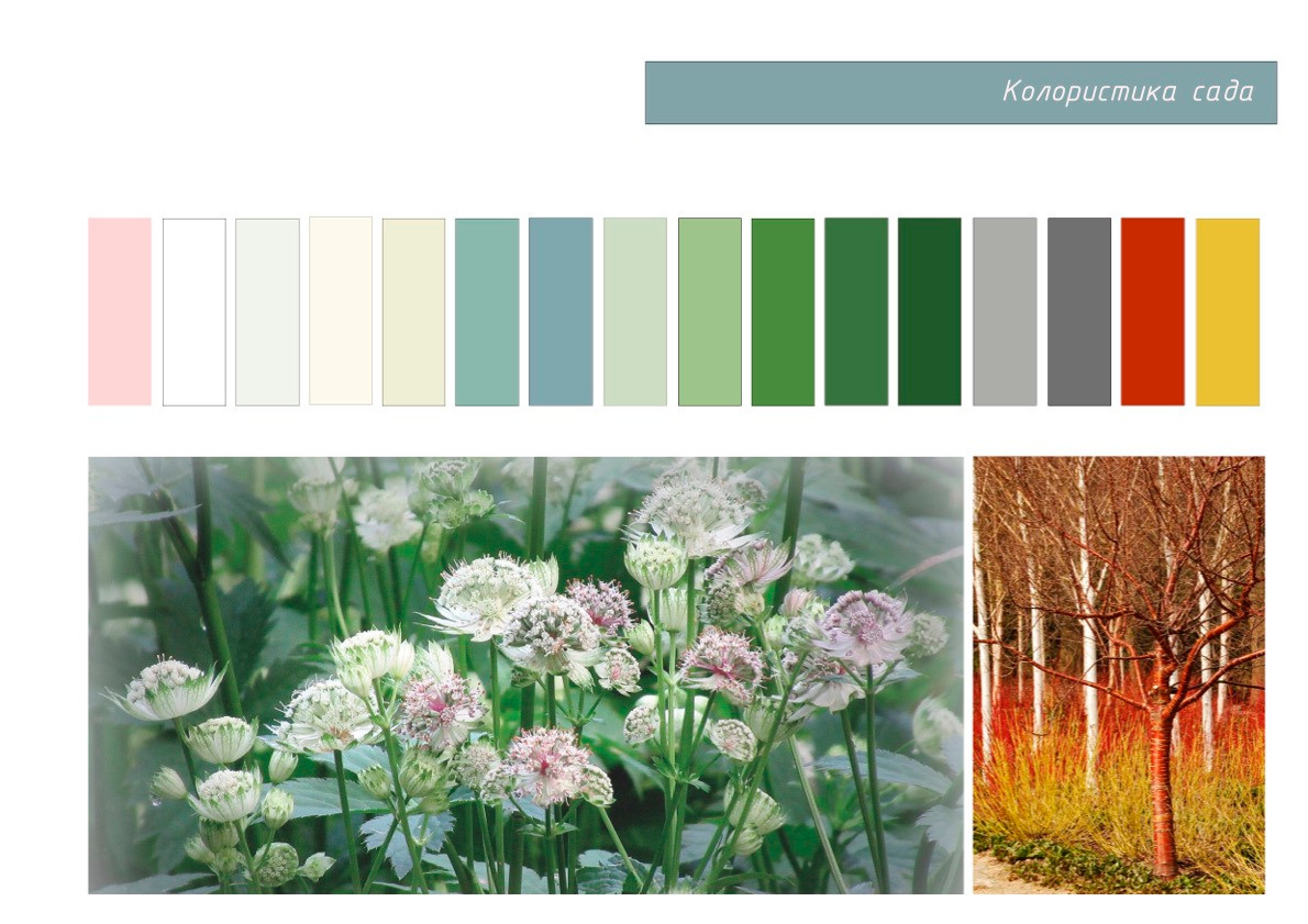 Проект «Жемчужный Сад». Студия ландшафтного дизайна в Москве. Love My Garden