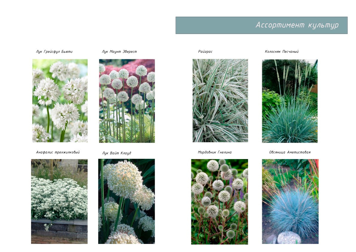 Проект «Жемчужный Сад». Студия ландшафтного дизайна в Москве. Love My Garden