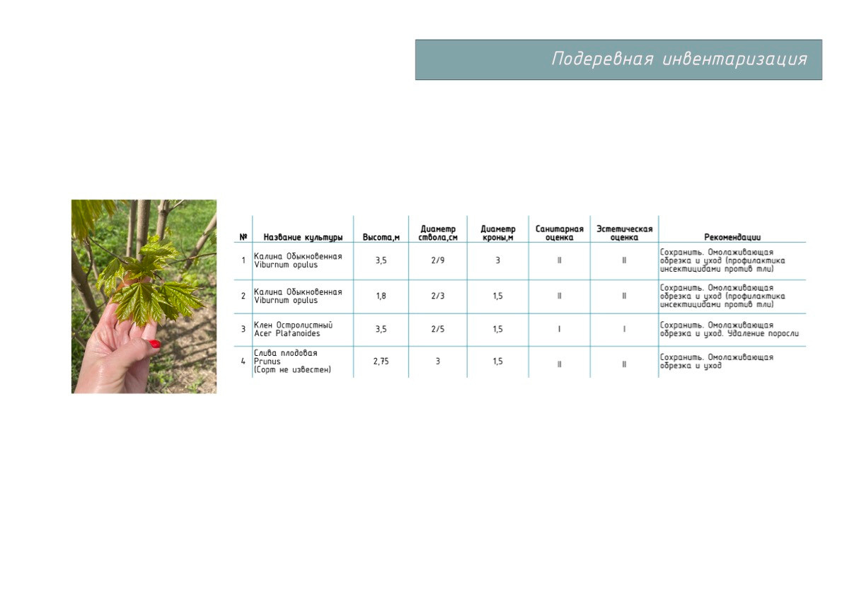 Проект «Жемчужный Сад». Студия ландшафтного дизайна в Москве. Love My Garden