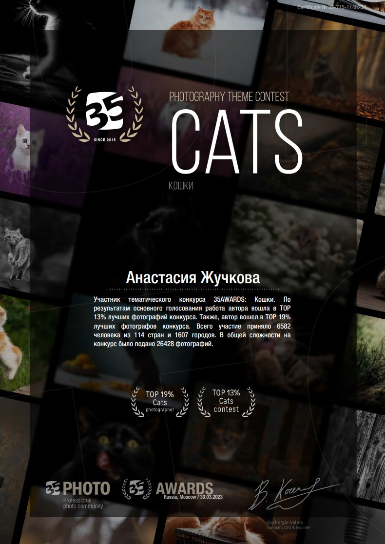 Мои Дипломы. Фотограф Анималист в Москве Анастасия Жучкова