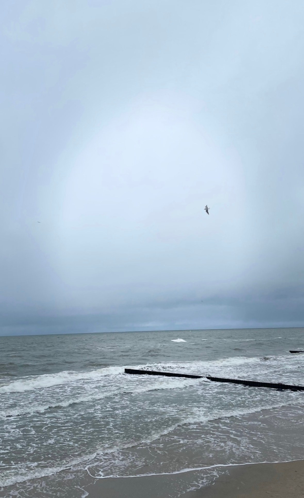 Калининград. Организатор Авторских Туров Жукова Алёна