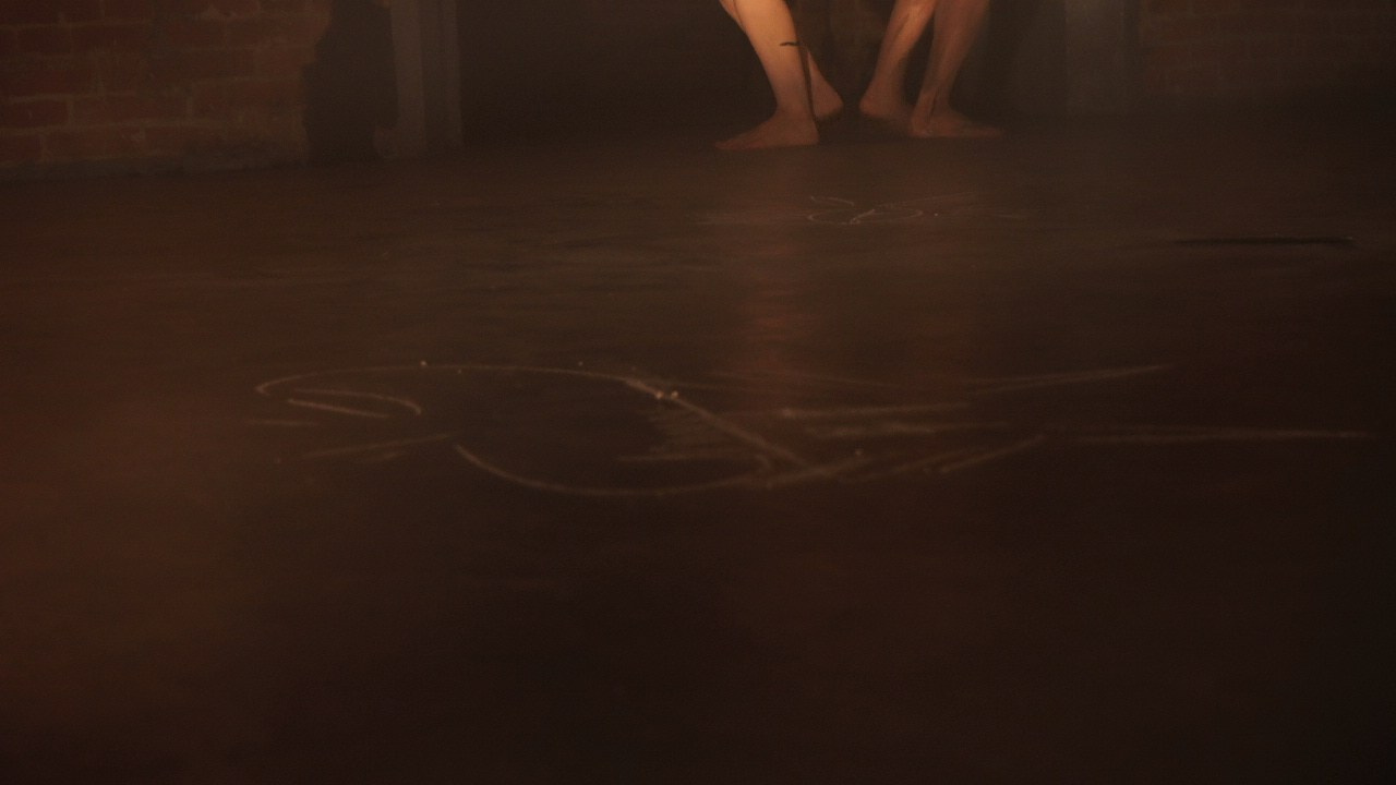 Красное дерево. Фото / Видеосъемка в Москве