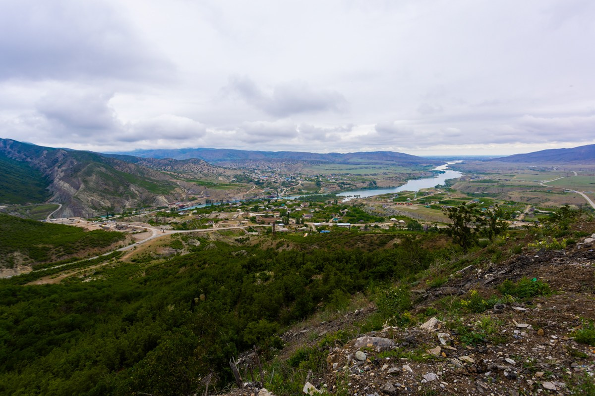 Главрыба. Photomantis