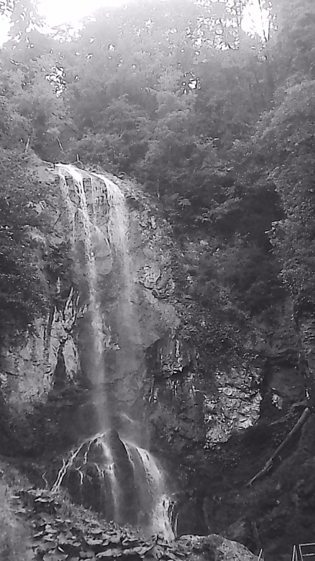 «Крошка 🐣». Anita_photo