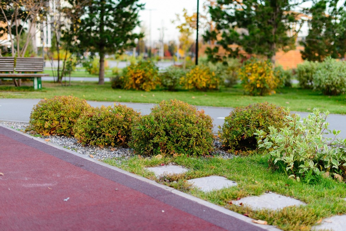 ЖК Ясный Берег. Фотограф Сергей Сергеев