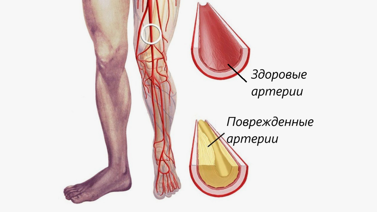 Готовые курсы приема продукции компании Сово-Сова. Сово-Сово — Омоложение и оздоровление!