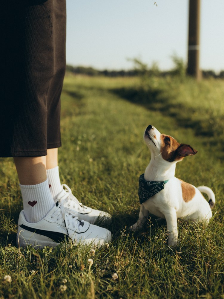 Ира и Бустик. Семейный и детский фотограф в Рязани Екатерина Воронцова