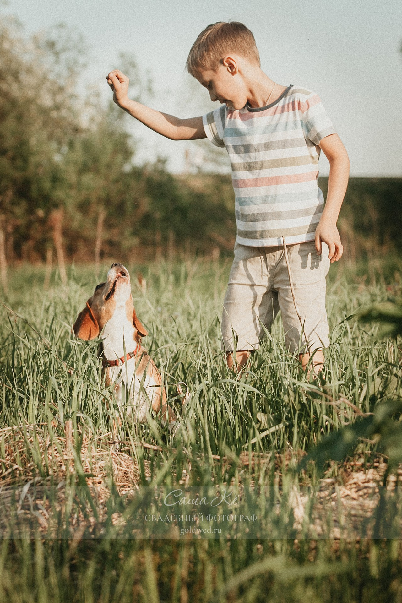 Семейная фотосъемка - прогулка в Заельцовском парке с поцелуями, романтикой от Саша Кё