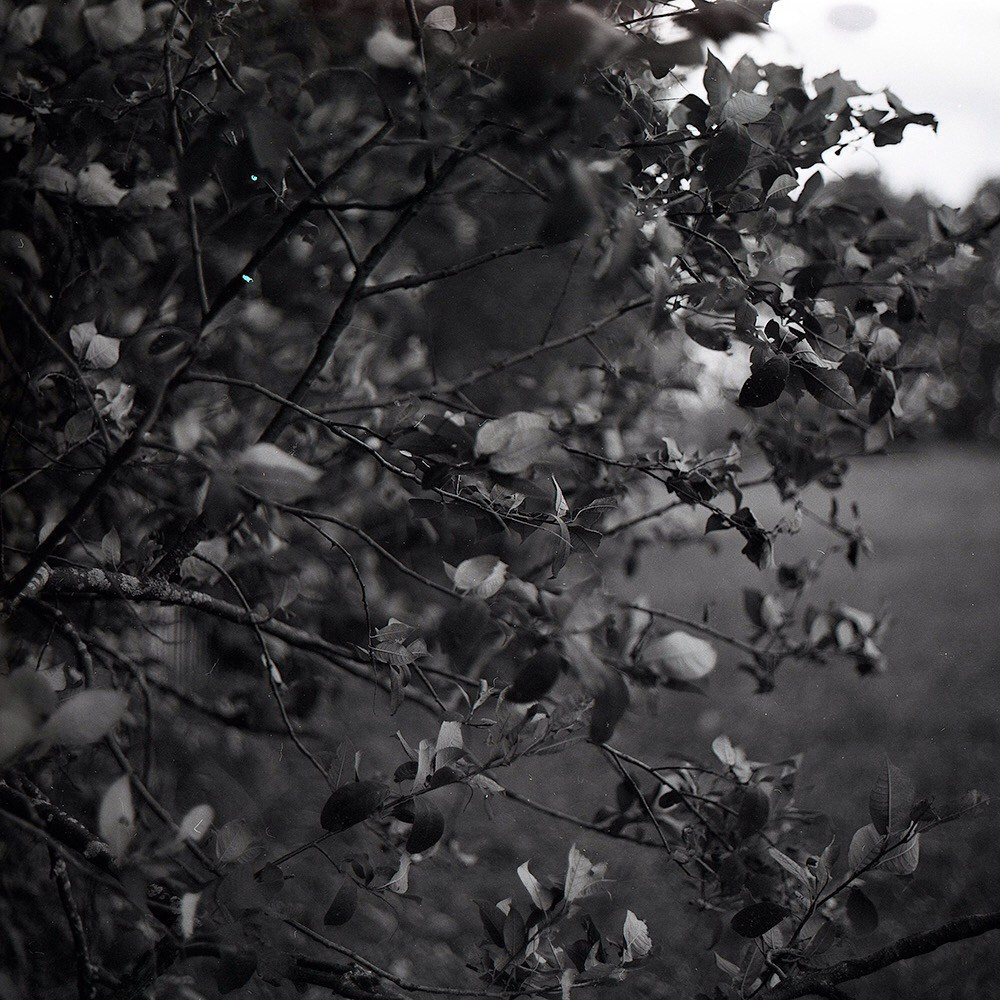 Пейзажи. Свадебный и портретный фотограф в Новом Уренгое Андрей Нелескин