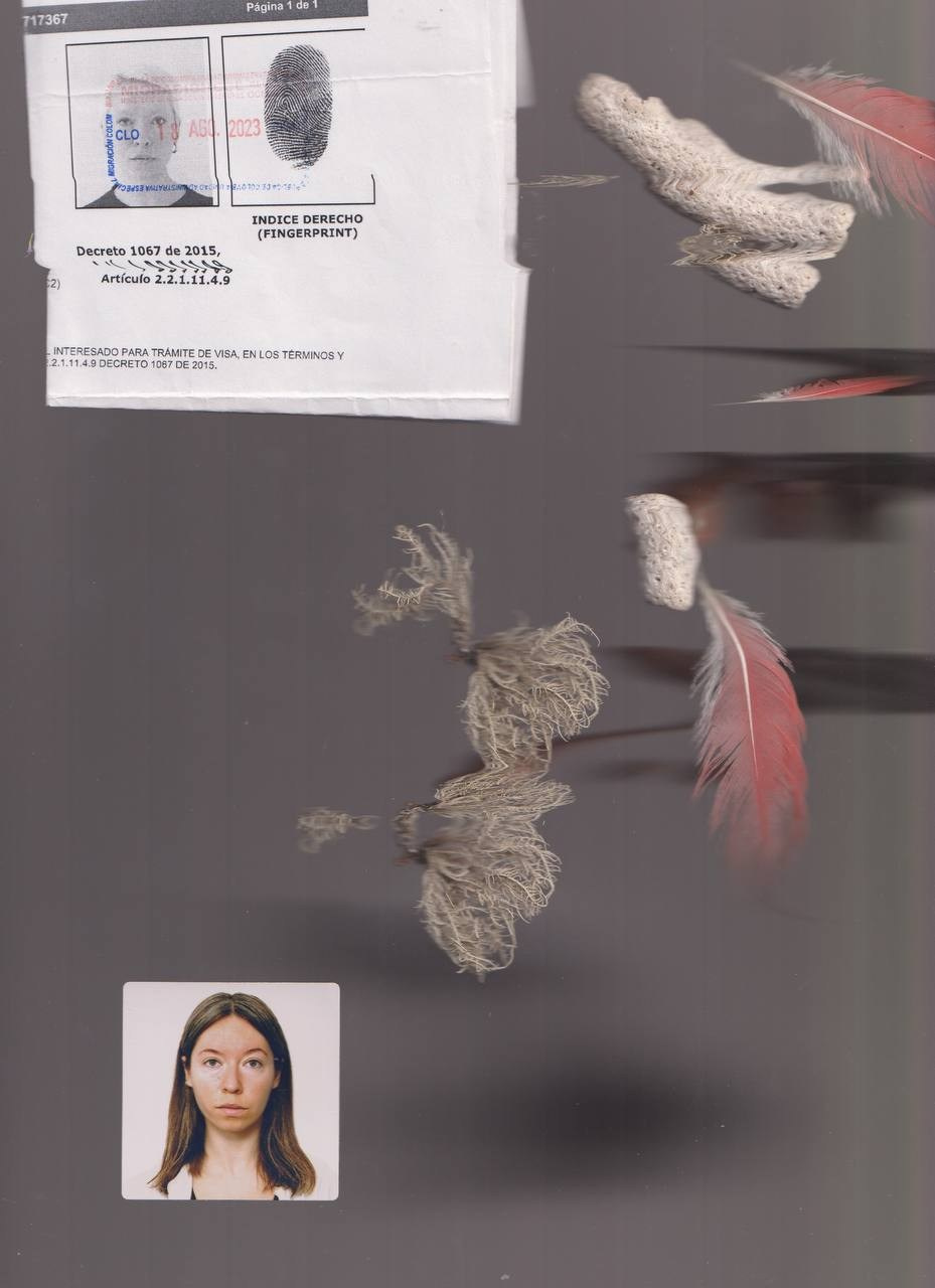 SEDIMENTS AND FOSSILS. Xexexena.ru