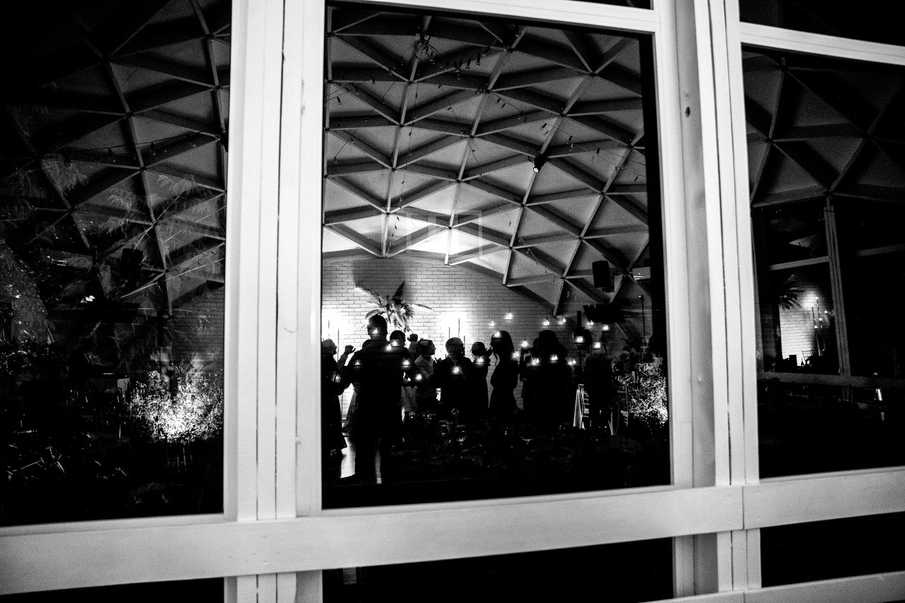 Кот на свадьбе?. Свадебный фотограф москва