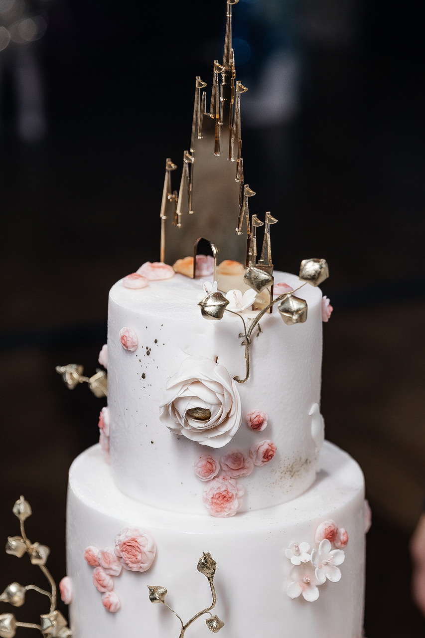 Дисней. Свадебный фотограф москва