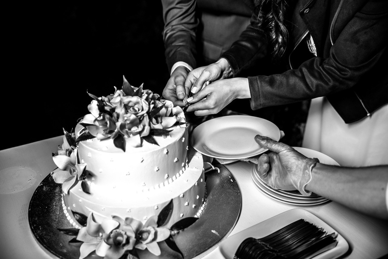 Кот на свадьбе?. Свадебный фотограф москва