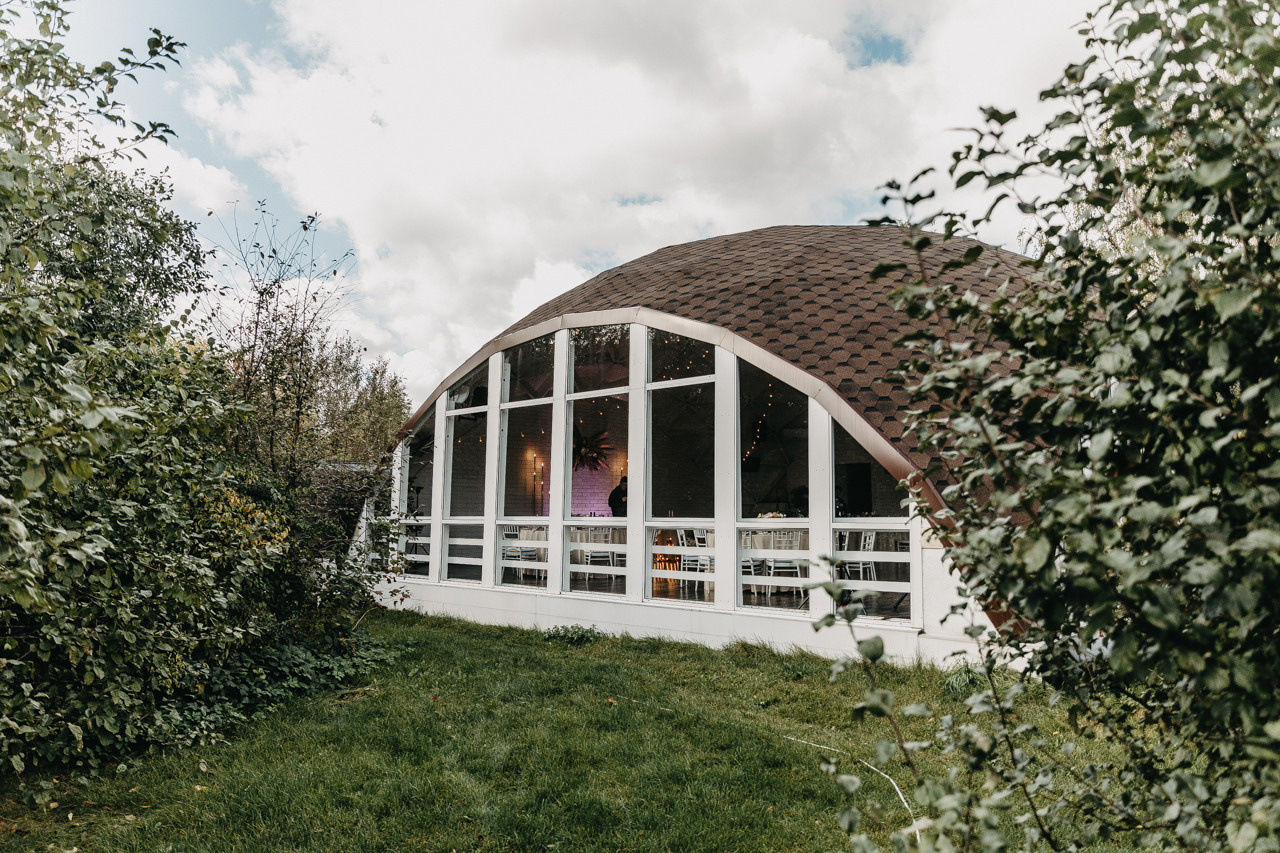 Кот на свадьбе?. Свадебный фотограф москва