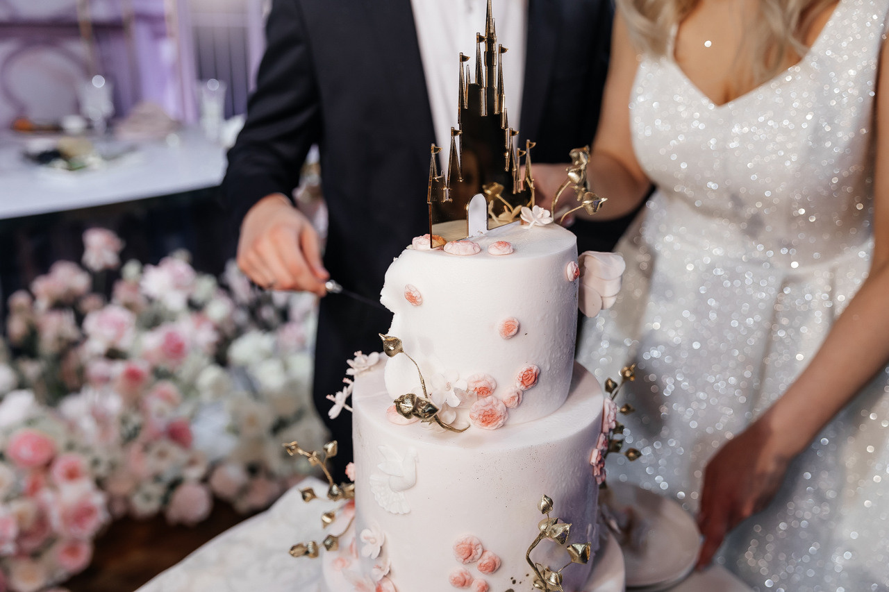 Дисней. Свадебный фотограф москва