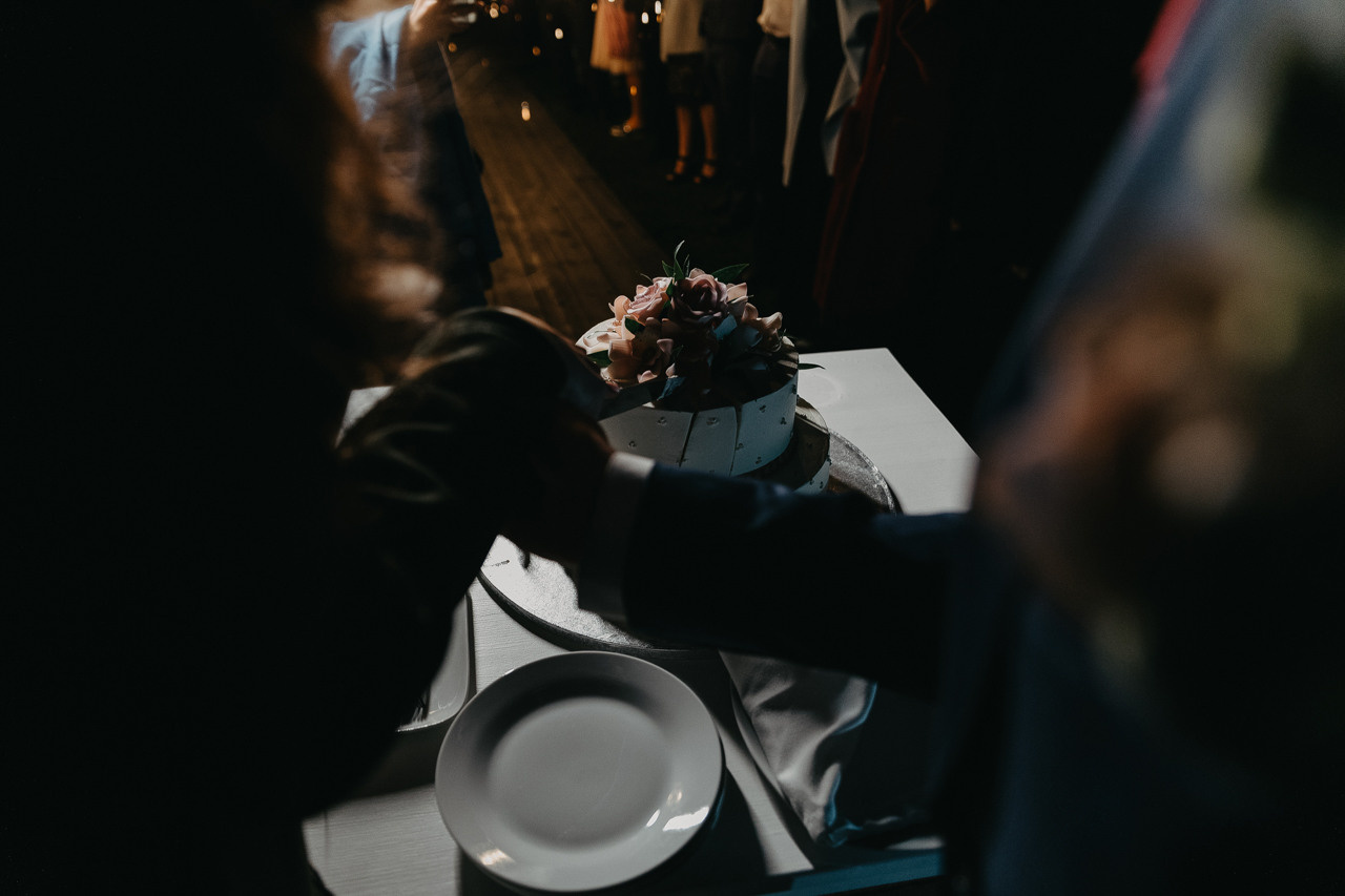 Кот на свадьбе?. Свадебный фотограф москва