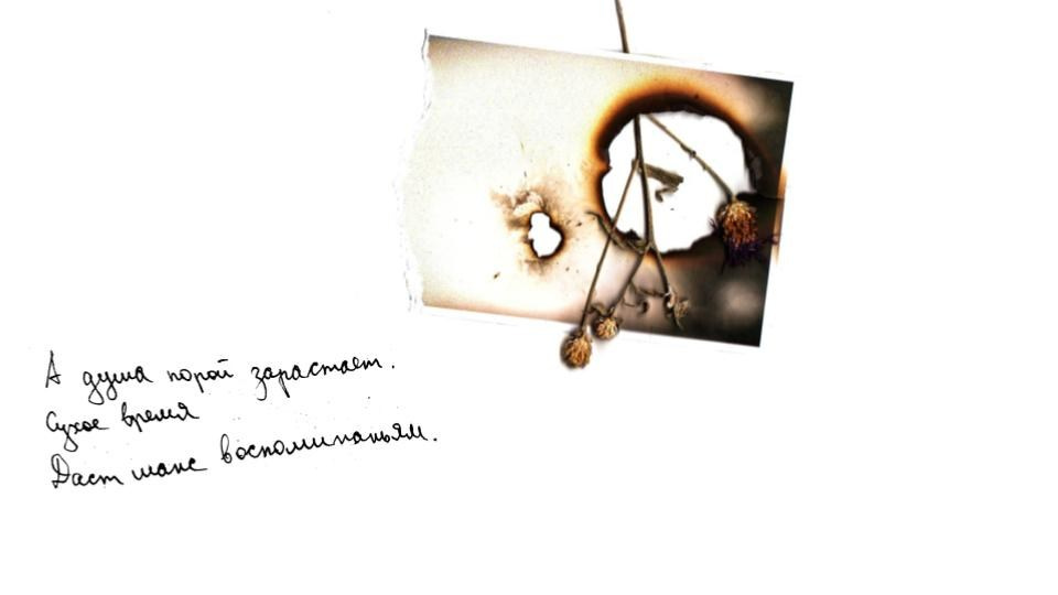 REGENERATION. Timeless Art