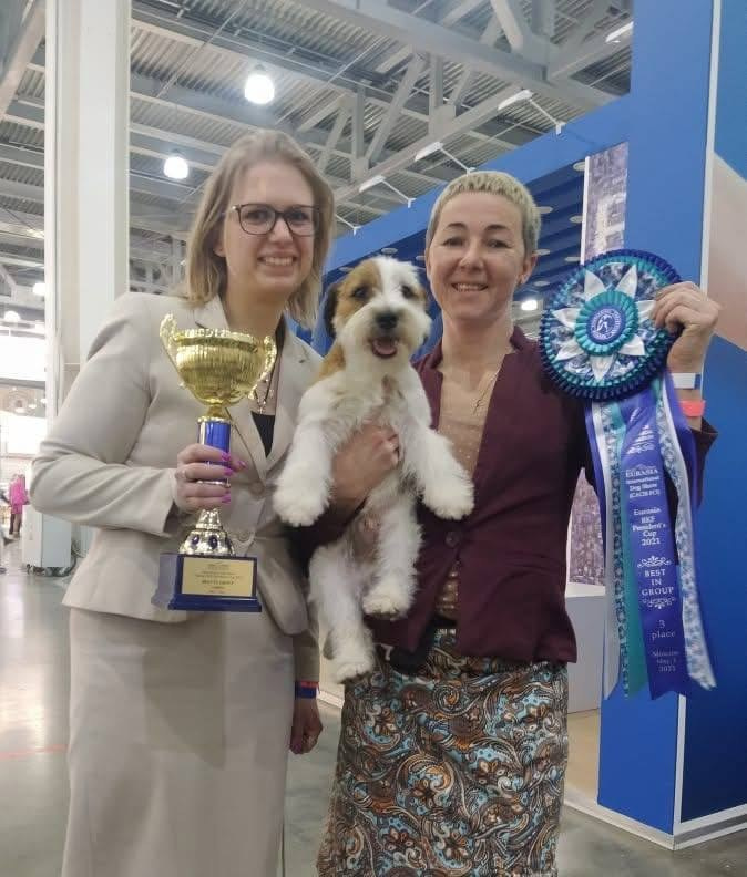 Lovely-Orange Grand Muffin. Lovely-Orange питомник джек рассел терьеров