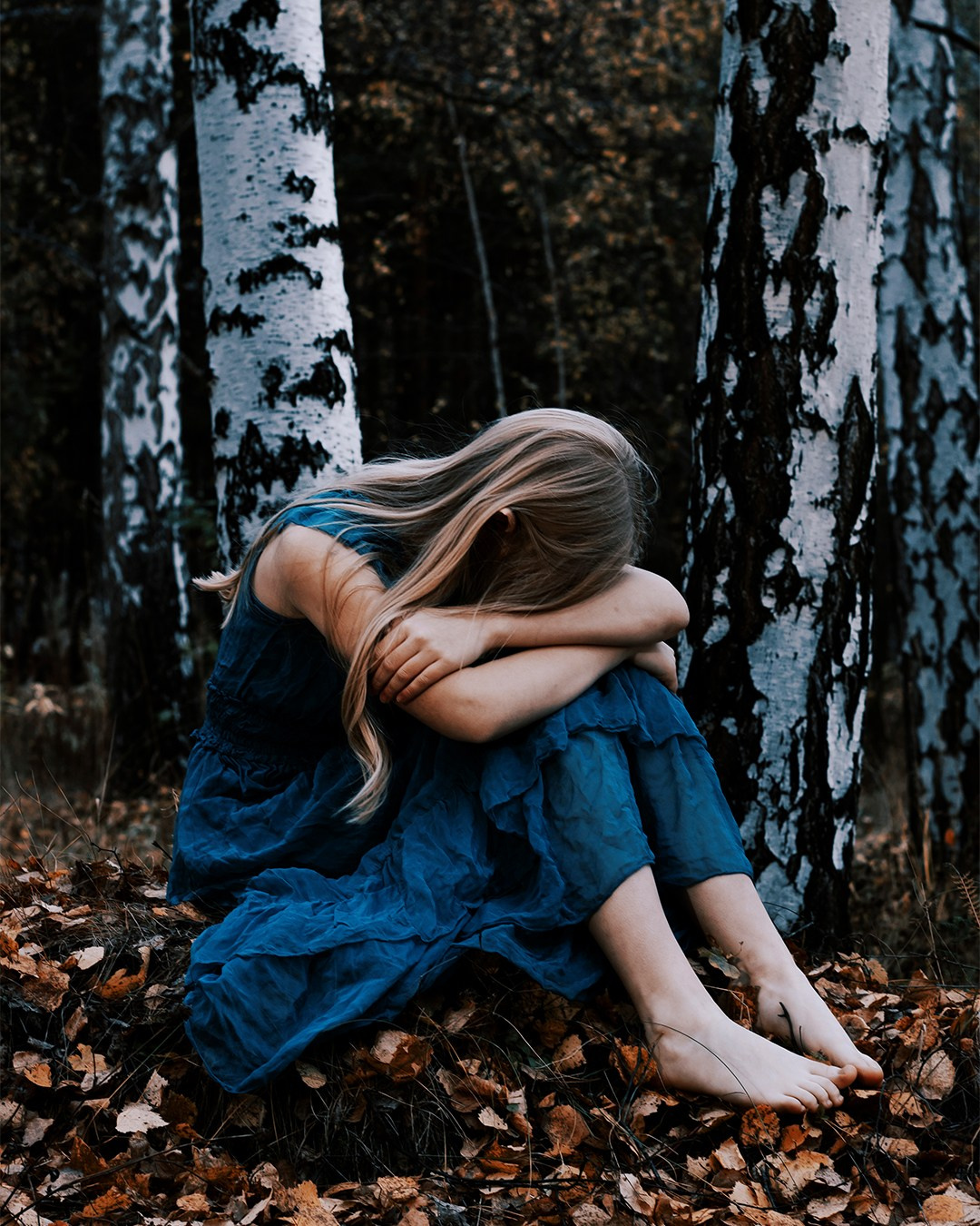 Сумерки Эльфа. 