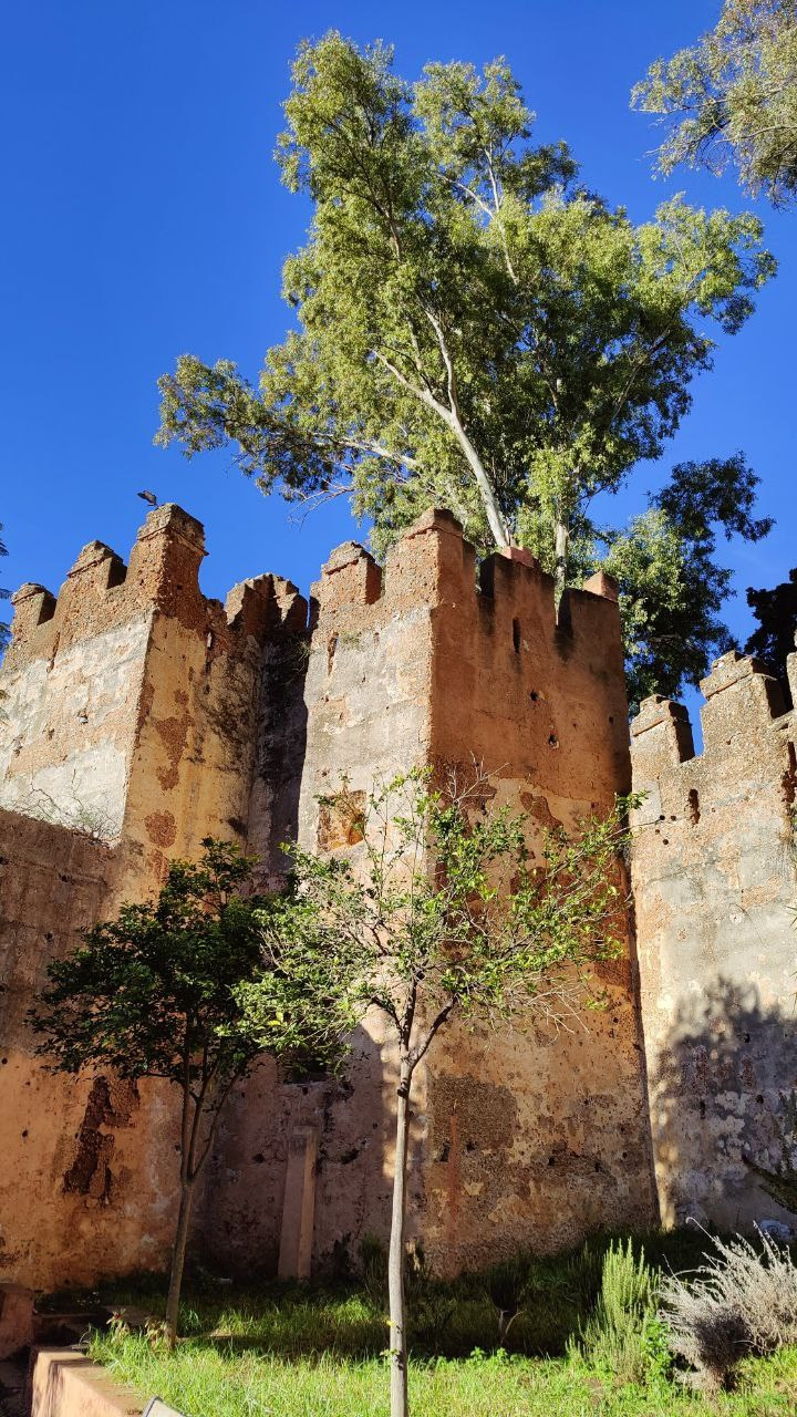 Марокко. Кибернетика и гармония