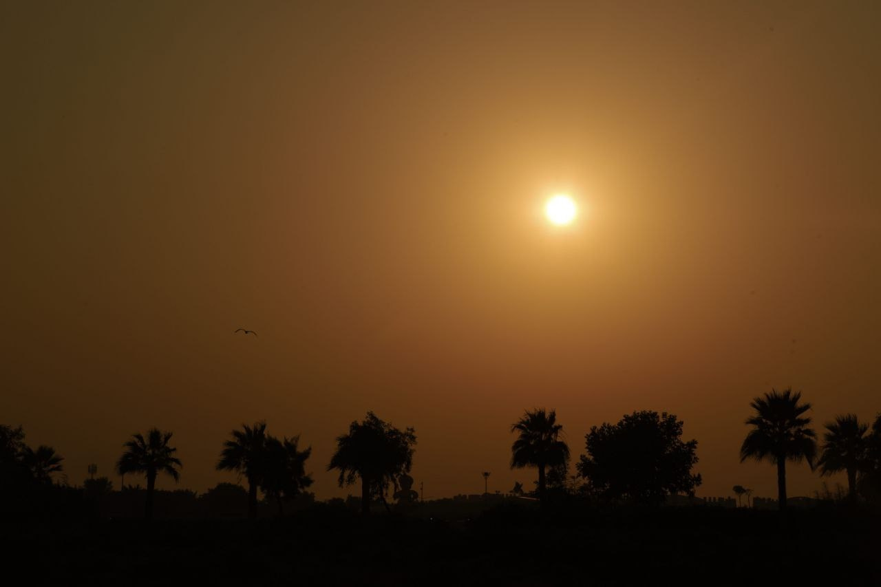 Эль-Джубайль. СА. 2025. Фотограф Михаил Олейник