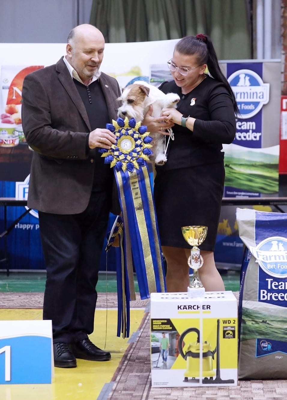 Lovely-Orange Kaizer. Lovely-Orange питомник джек рассел терьеров