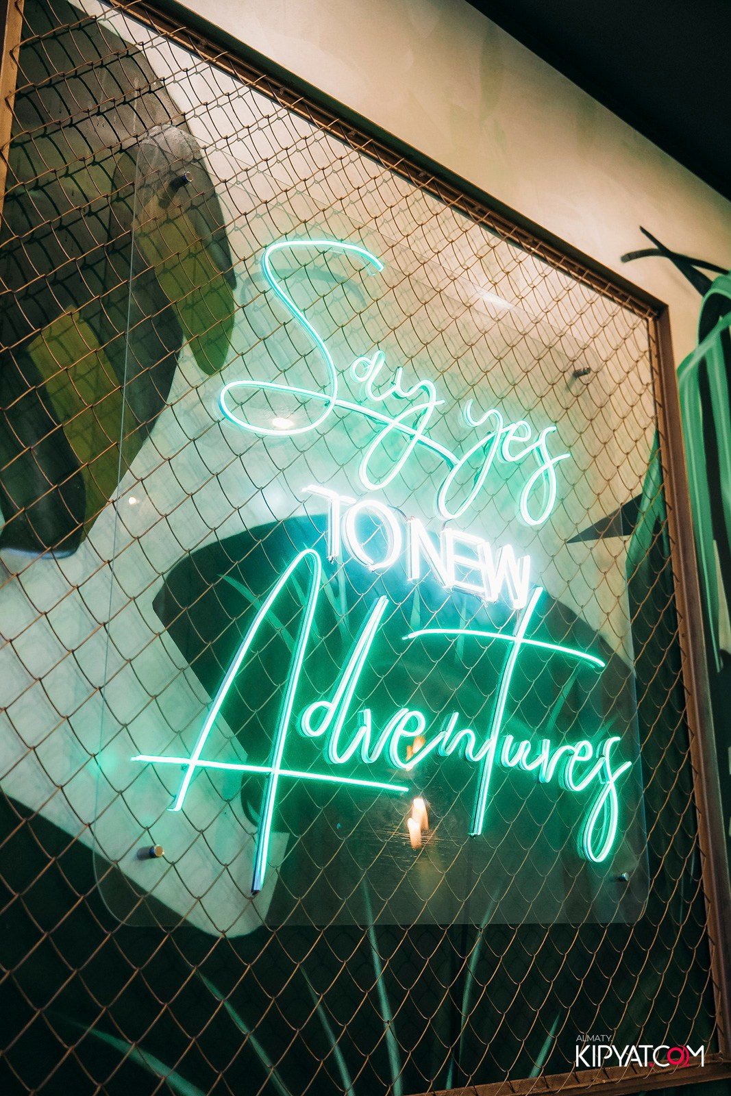 ДОРОГАЯ, Я НЕ ПИЛ. КИПЯТКОМ АЛМАТЫ!